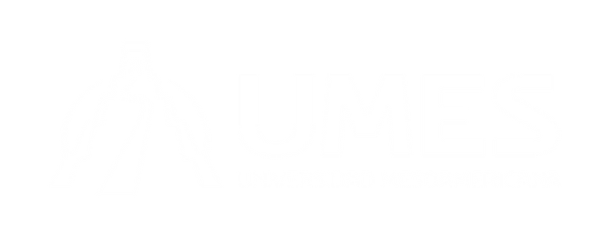Universidad Mesoamericana